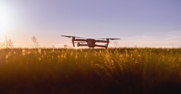 Cultivating Innovation: Agriculture’s Technological Revolution
