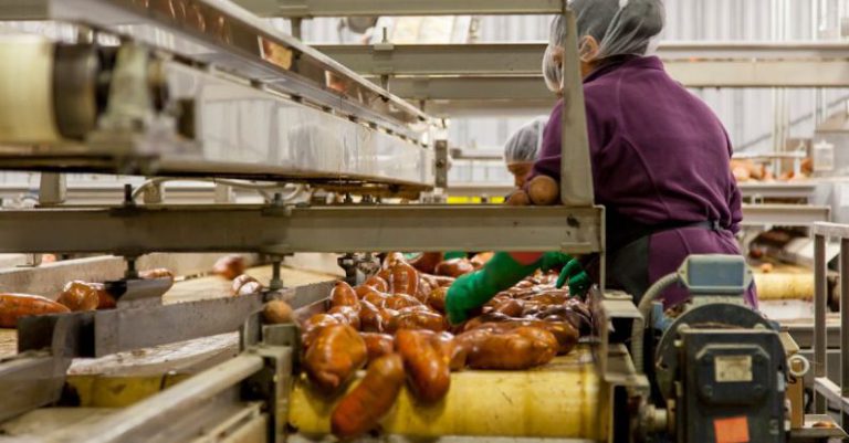Food Industry - Woman Cleaning Sweet Potatoes