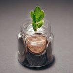 Start-up Growth - Plant on a Glass Bottle with Coins