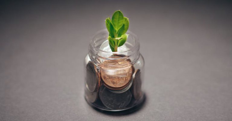 Start-up Growth - Plant on a Glass Bottle with Coins