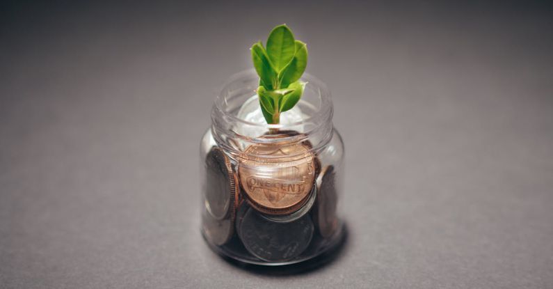 Start-up Growth - Plant on a Glass Bottle with Coins