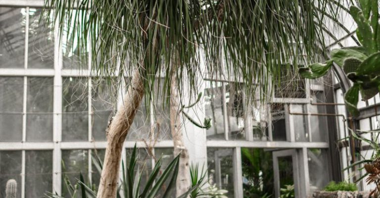 Sustainable Growth - Glass greenhouse with exotic trees and plants