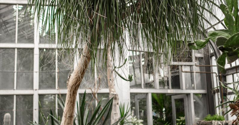 Sustainable Growth - Glass greenhouse with exotic trees and plants